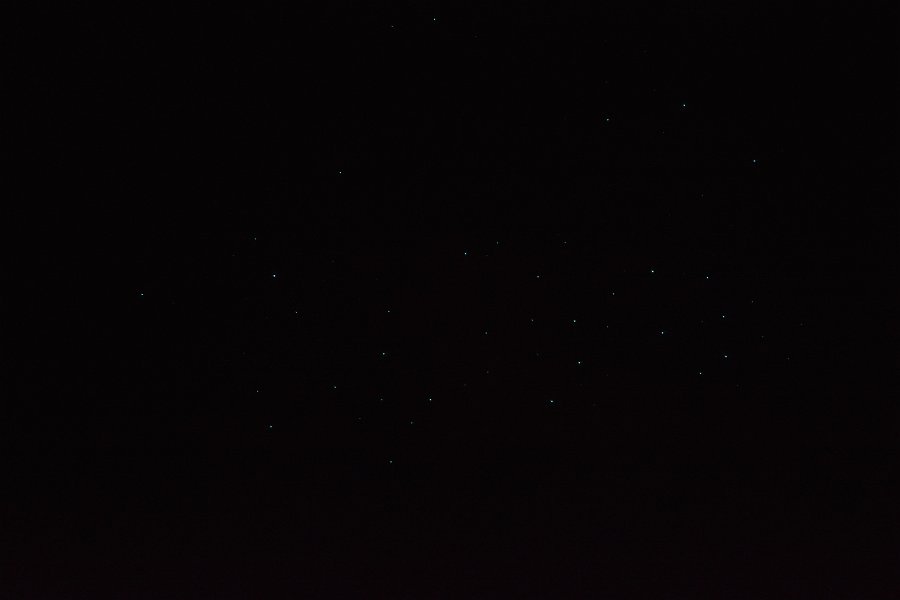 DSC_2049