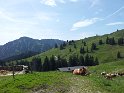20140720_110913