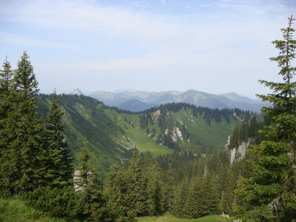Original image