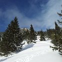20150201_140418